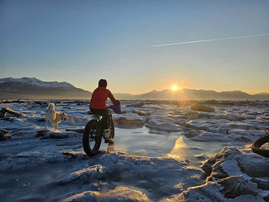 A fat-bike rider and a dog on sea ice at sunset, mountains on the horizon.